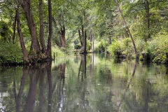 Spreewald_007